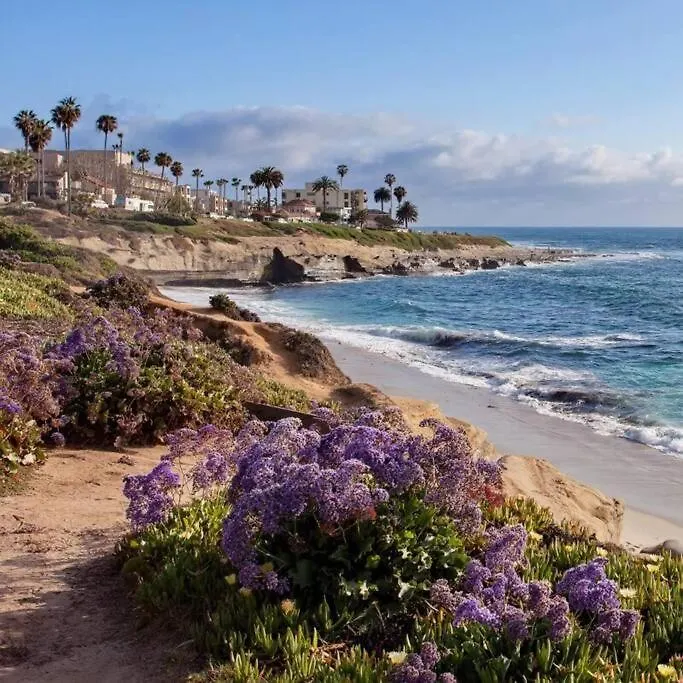 Modern 1br In Heart Of Utc - Close To Beaches, Shopping, Dining, Ucsd アパート サンディエゴ