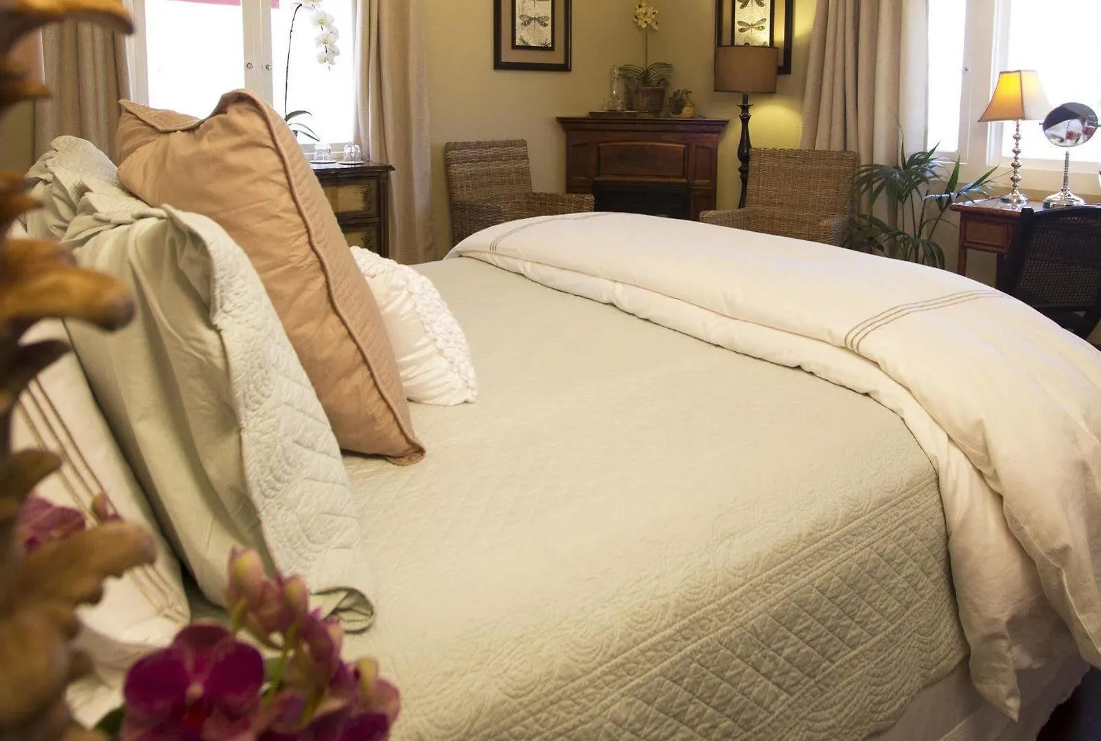 The At La Jolla 4*