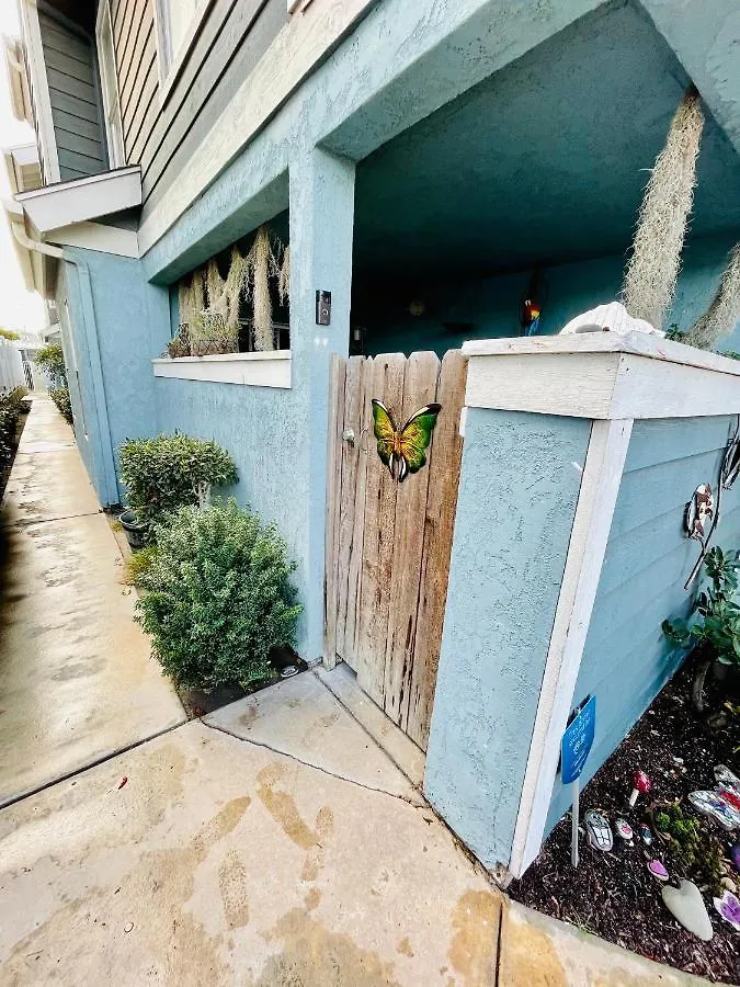 Pacific Butterfly * San Diego