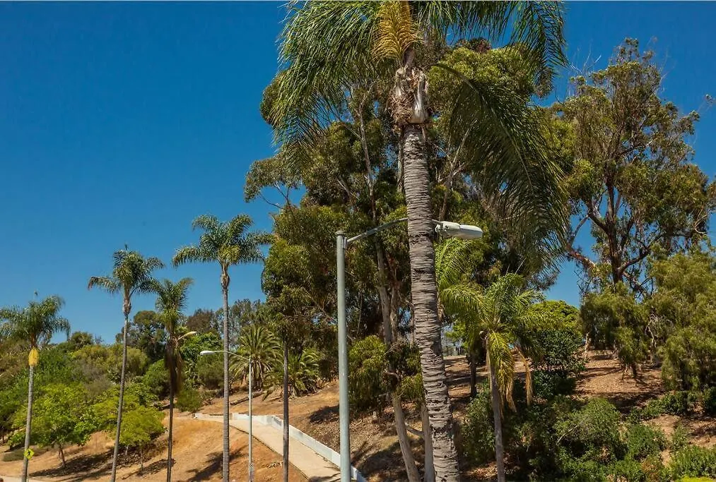 Cozy Next To Dt And Balboa Park * San Diego