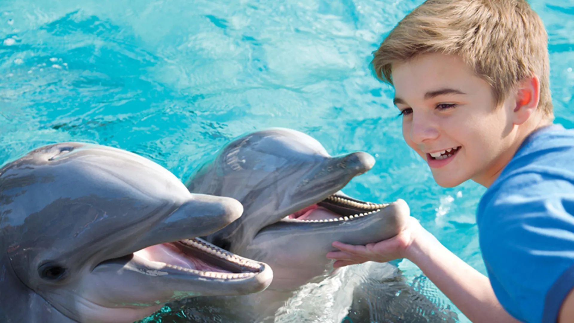 Express - Sea World Area By Ihg 2*
