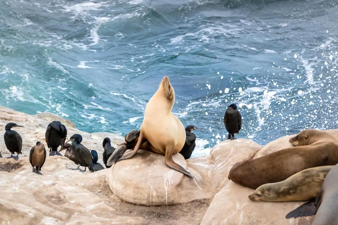 La Jolla Cove 3* San Diego