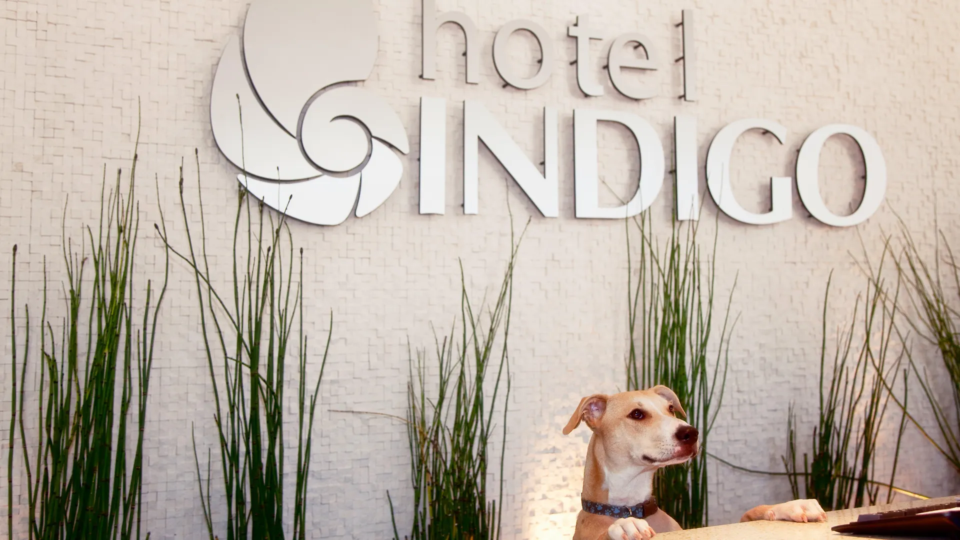 Hotel Indigo - Gaslamp Quarter By Ihg 4*