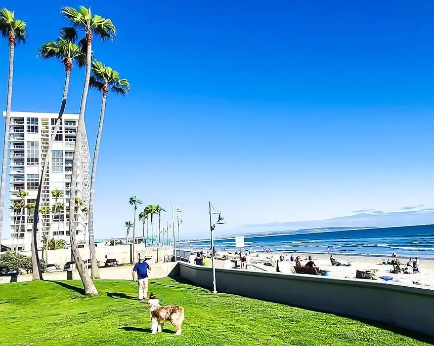 Luxury Beach-front High-rise Apartment San Diego