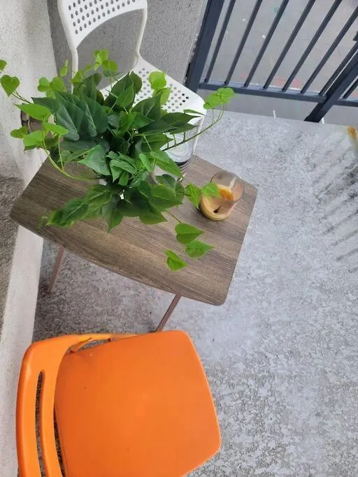 Apartment Beautiful Cozy In Downtown *