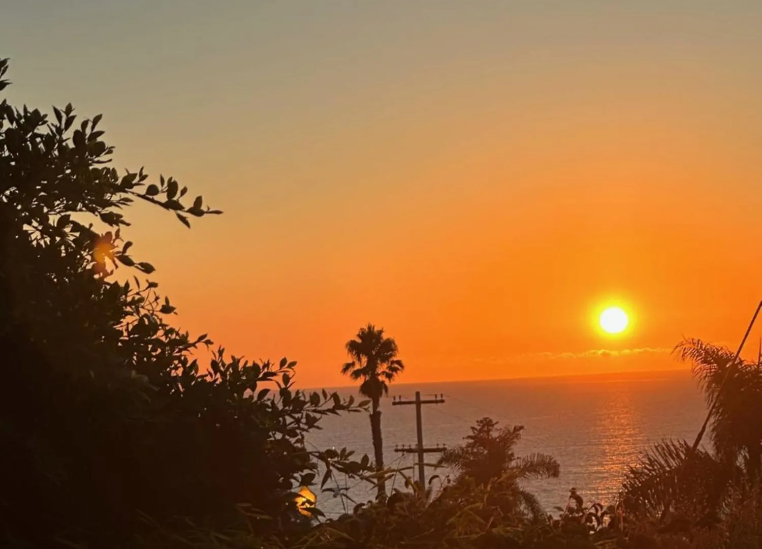 Contemporary Ocean Sunset Views With Firepit Pt Loma Close To Plnu *