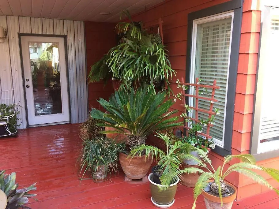 Apartment Serenity House Near Gaslamp, Zoo & Petco