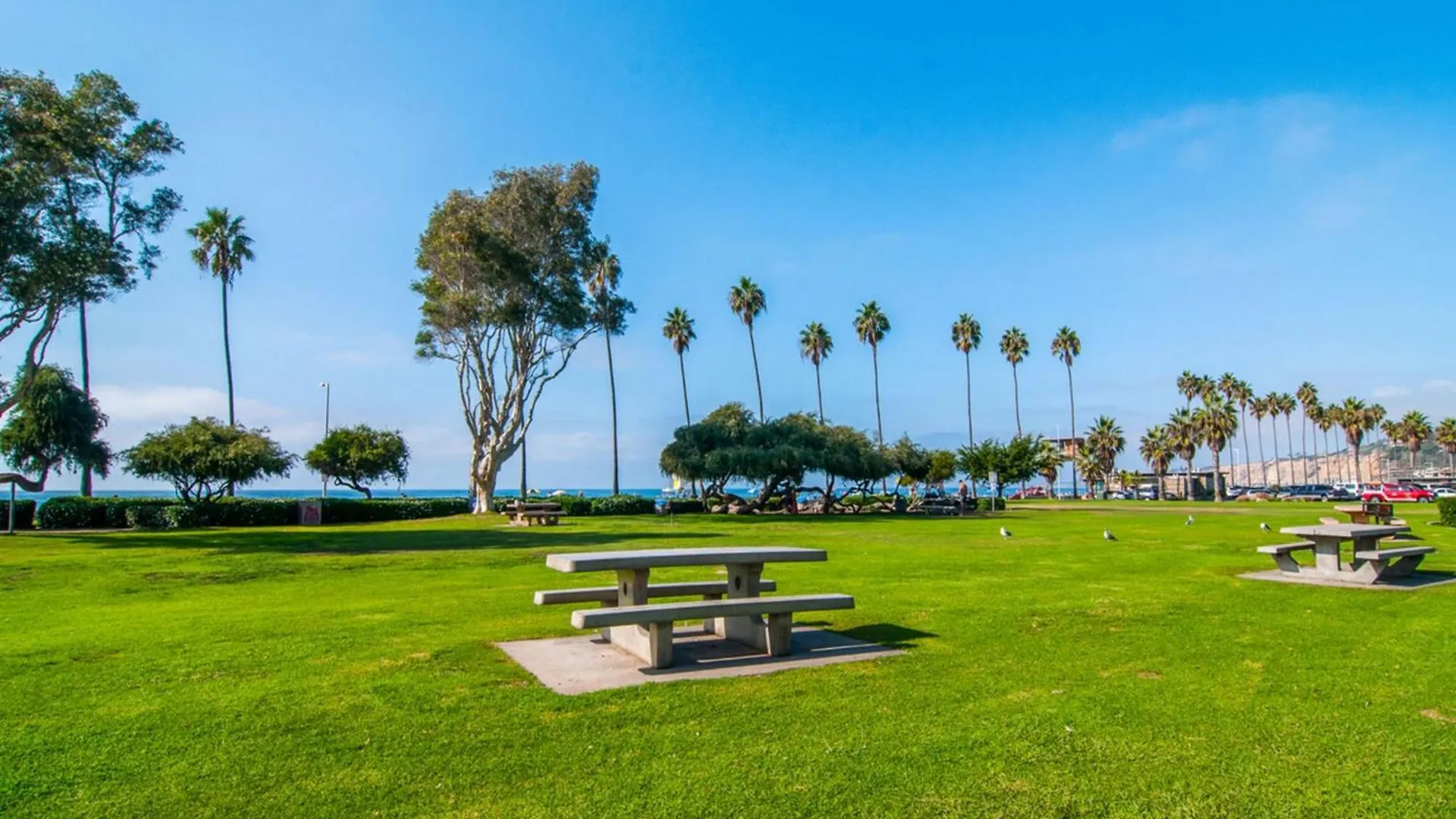 B5331 La Jolla * San Diego