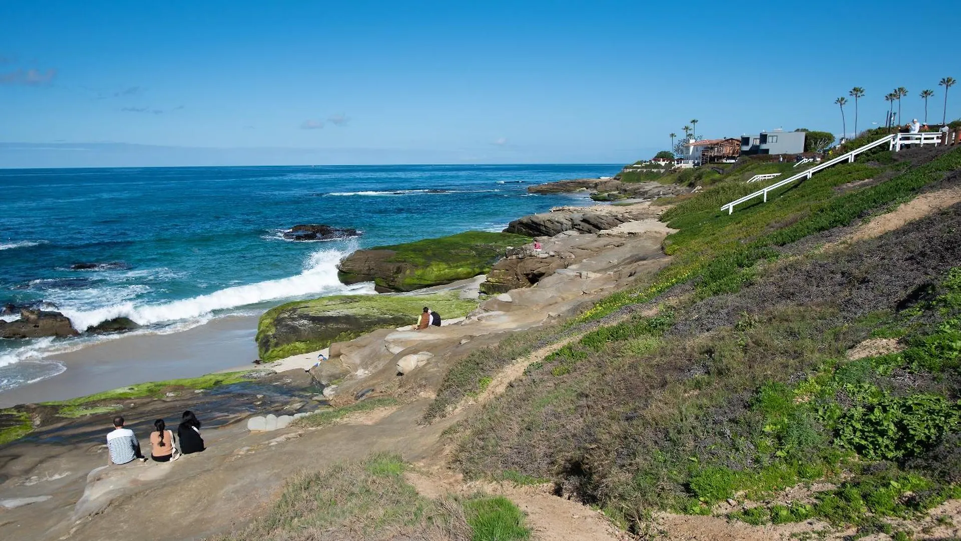 La Jolla Windansea Luxury