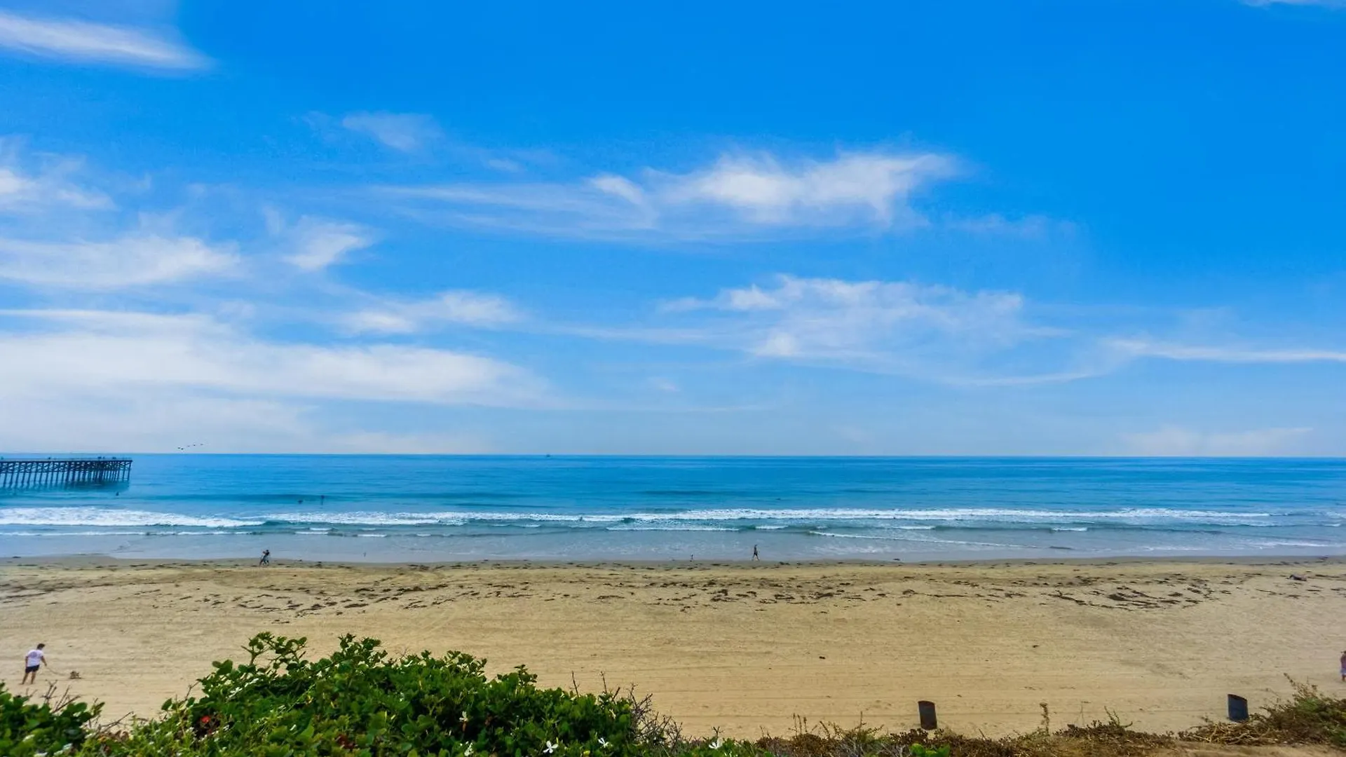 Seashell Serenity San Diego