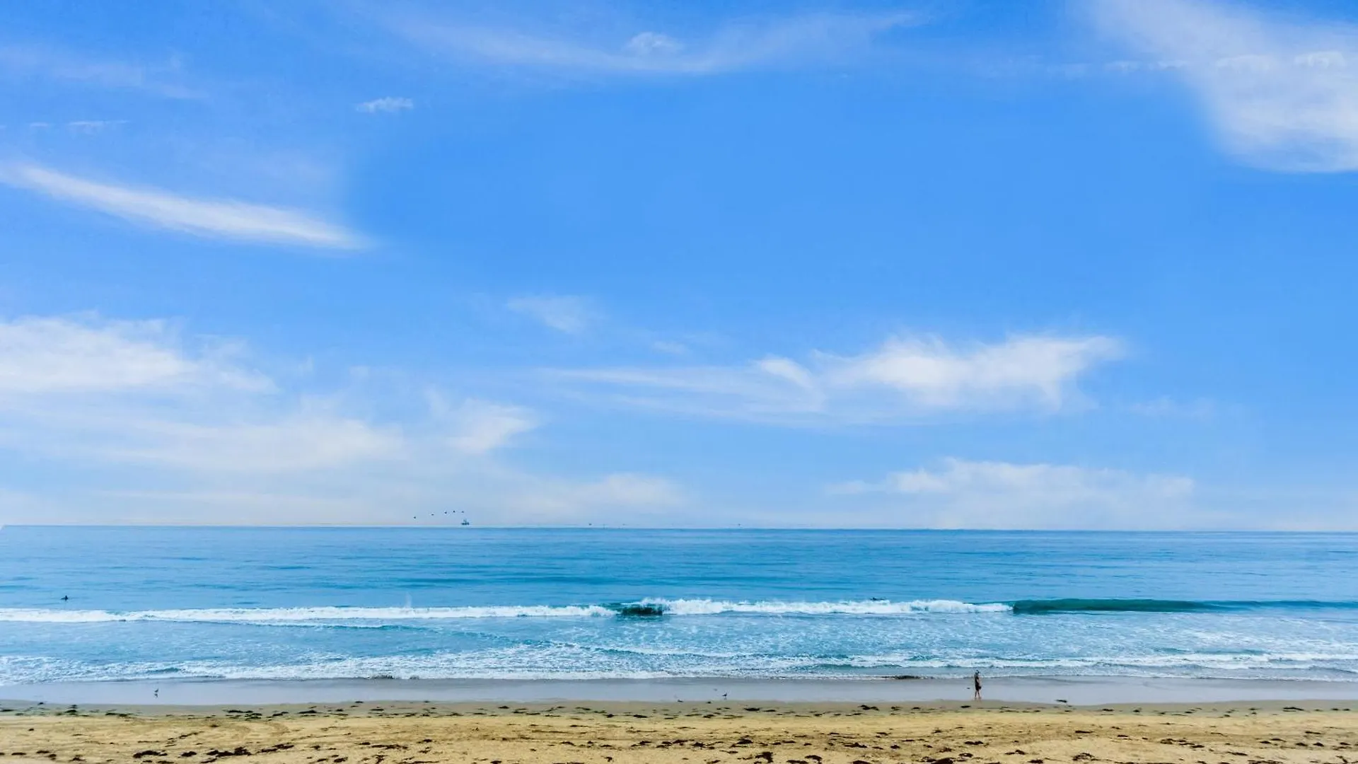 Seashell Serenity Apartment San Diego
