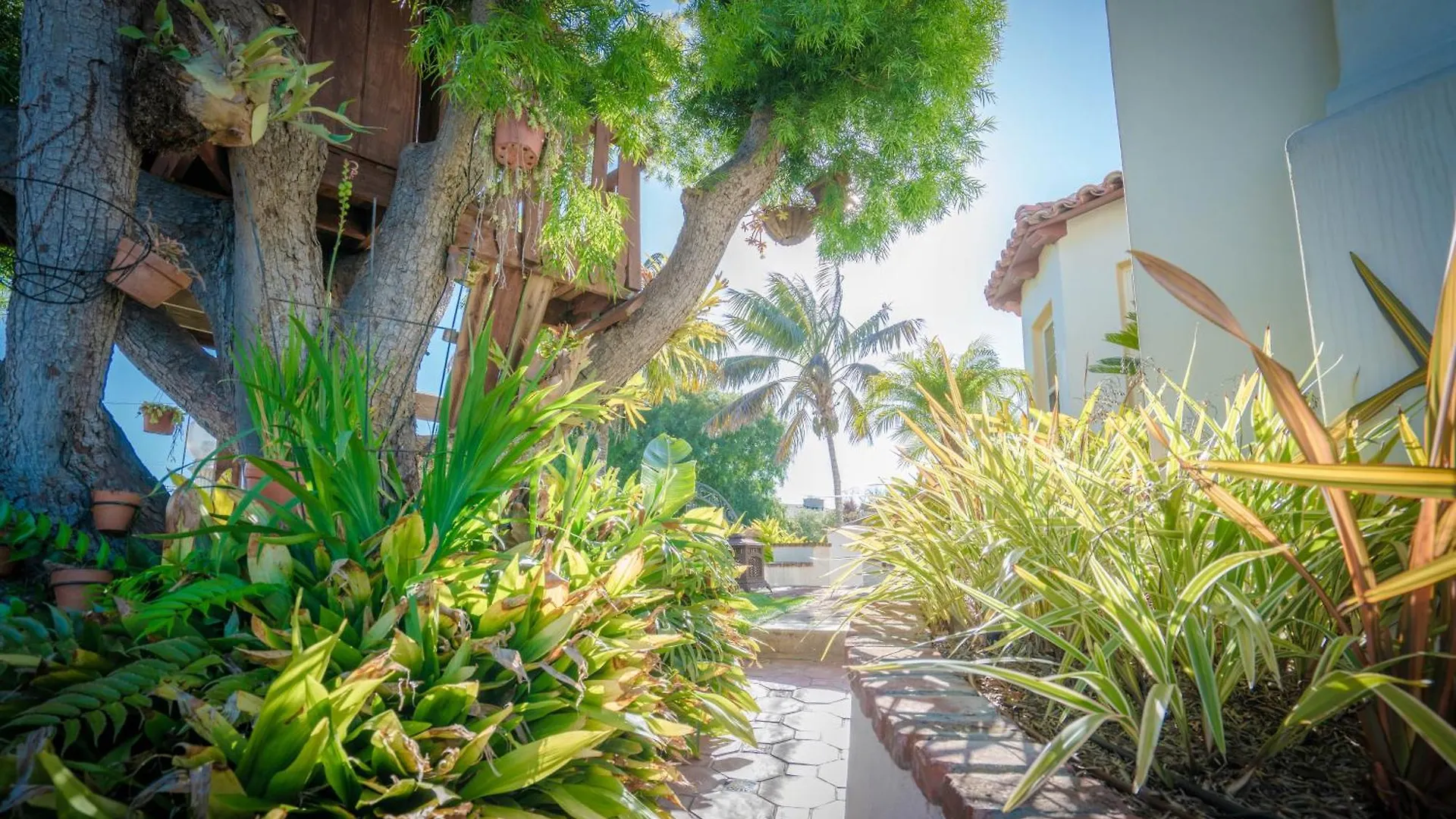 Mediterranean-style In Point Loma * San Diego