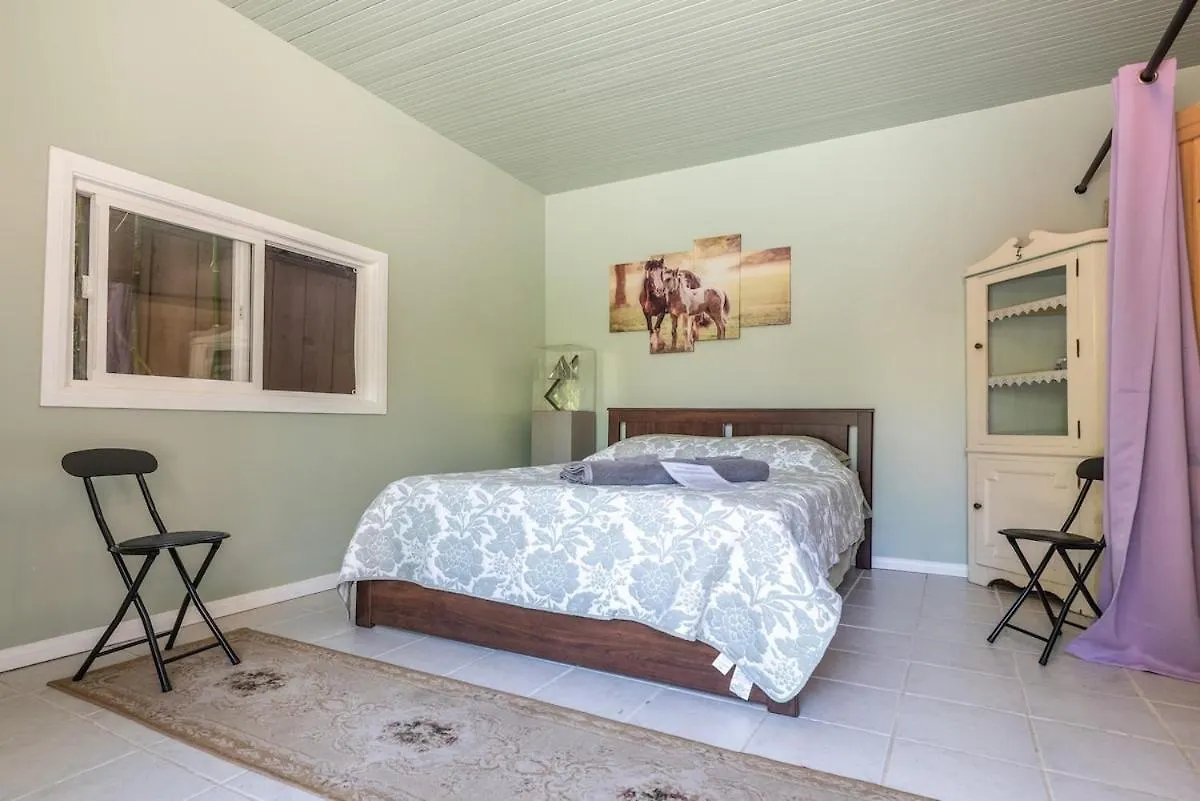 Homestay Pool - Entire Guest - Private Entrance