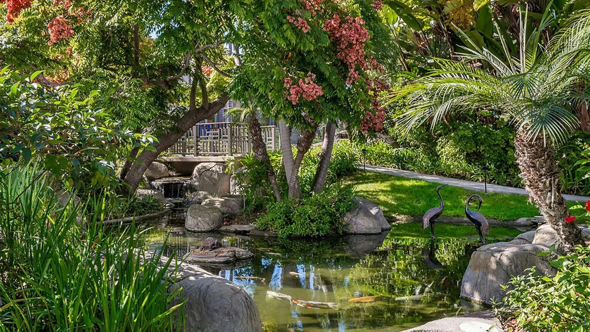 מלון Sheraton La Jolla
