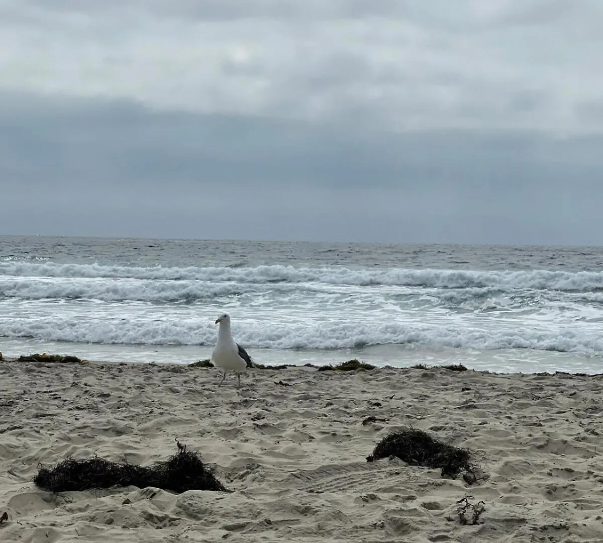 Holiday home South Mission Oceanview Duplex San Diego