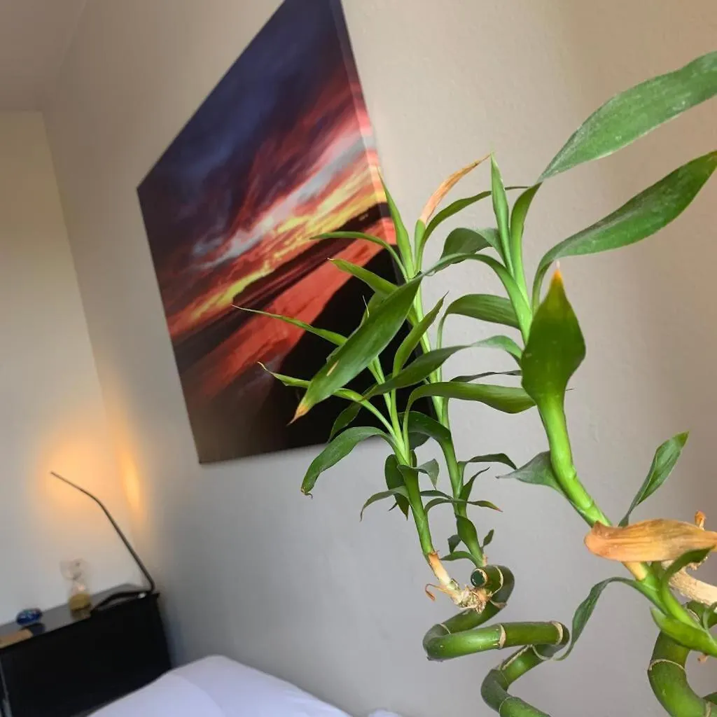 Sunset Loft By Convention Centre Apartment San Diego