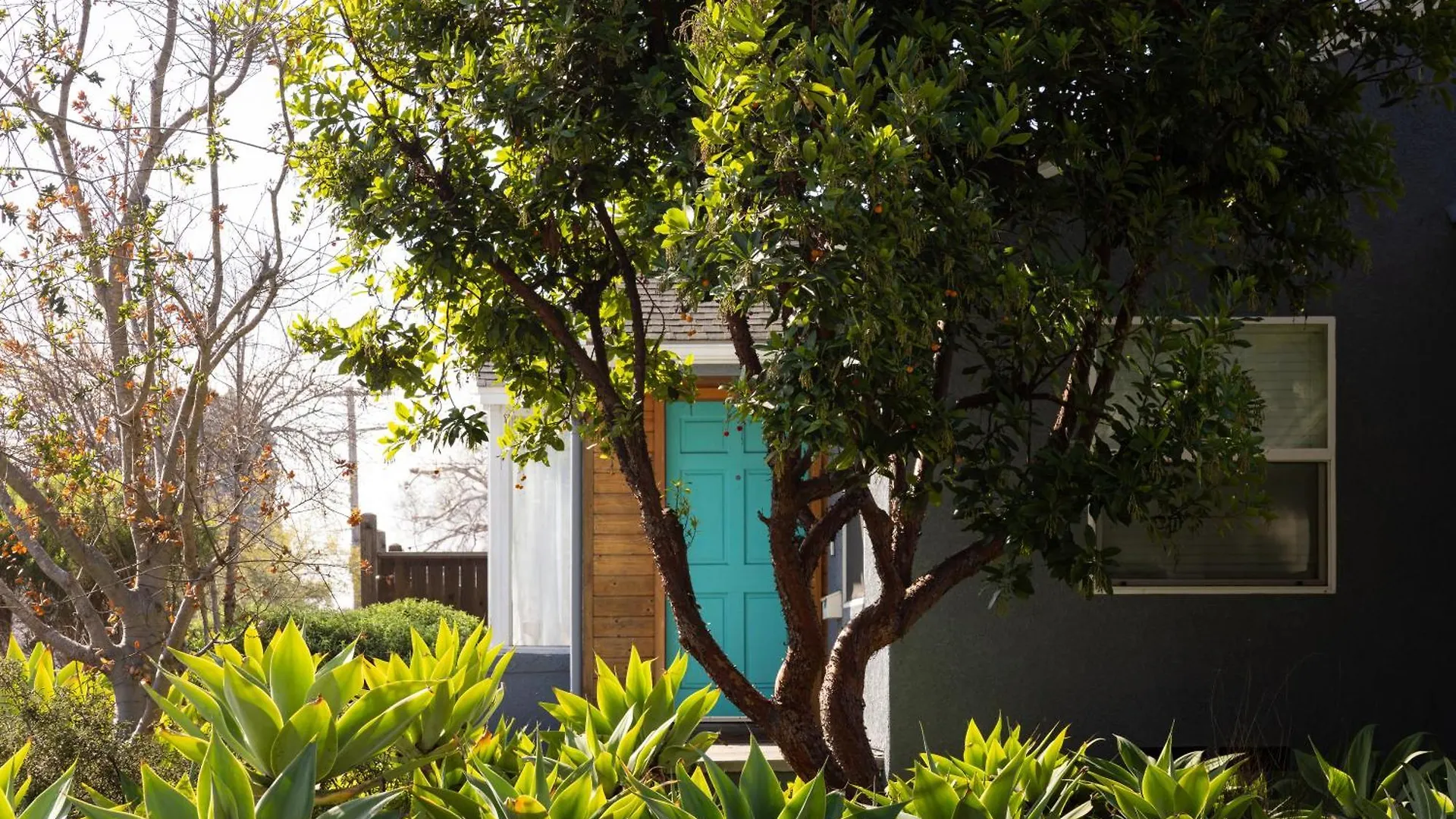 Modern Retro Close To Dt, Zoo, Parking, Hot Tub * San Diego