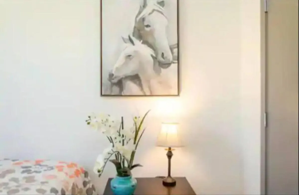 Apartment Chic 2 Bedroom Near Petco Park Convention Center