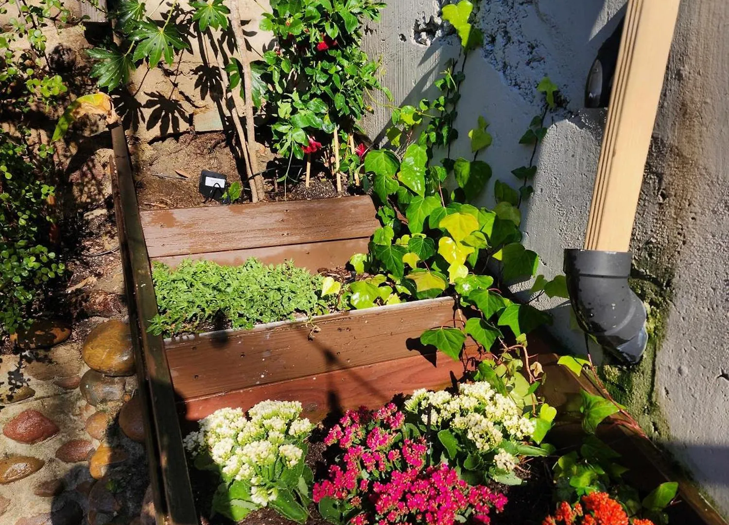 Urban Oasis Near Downtown & Balboa Park Holiday home