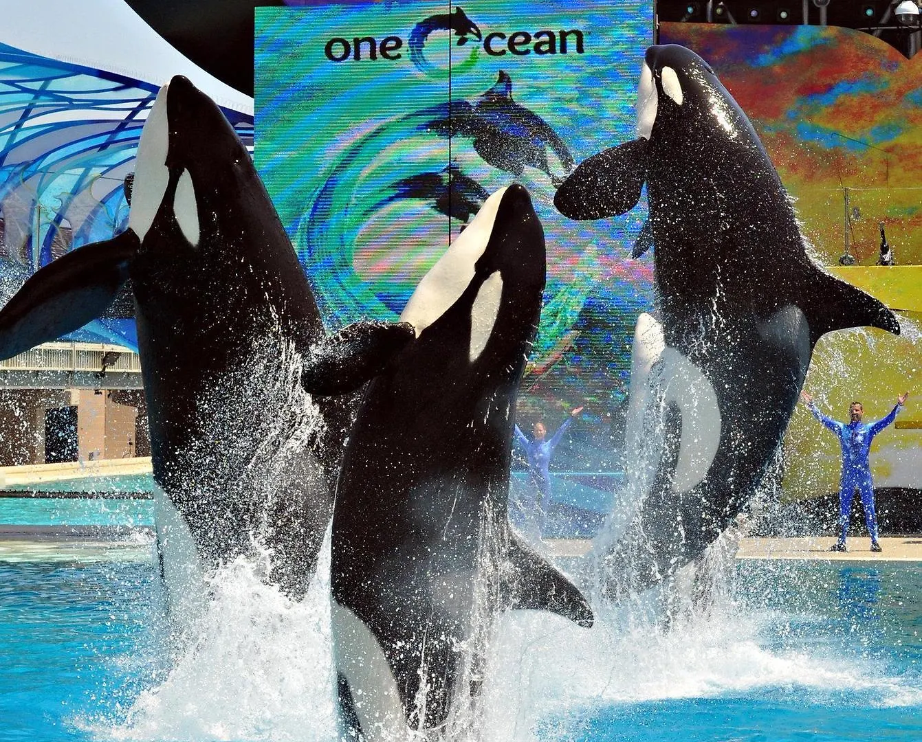 The Atwood - Seaworld/zoo 2*