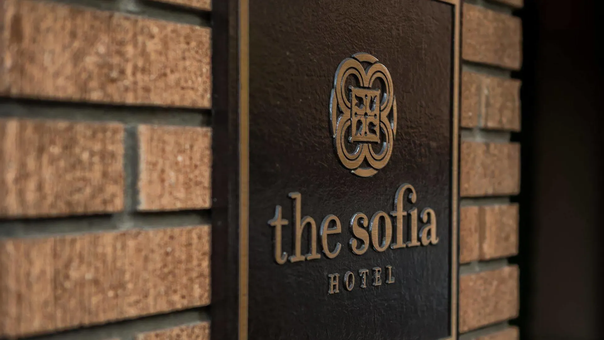The Sofia
