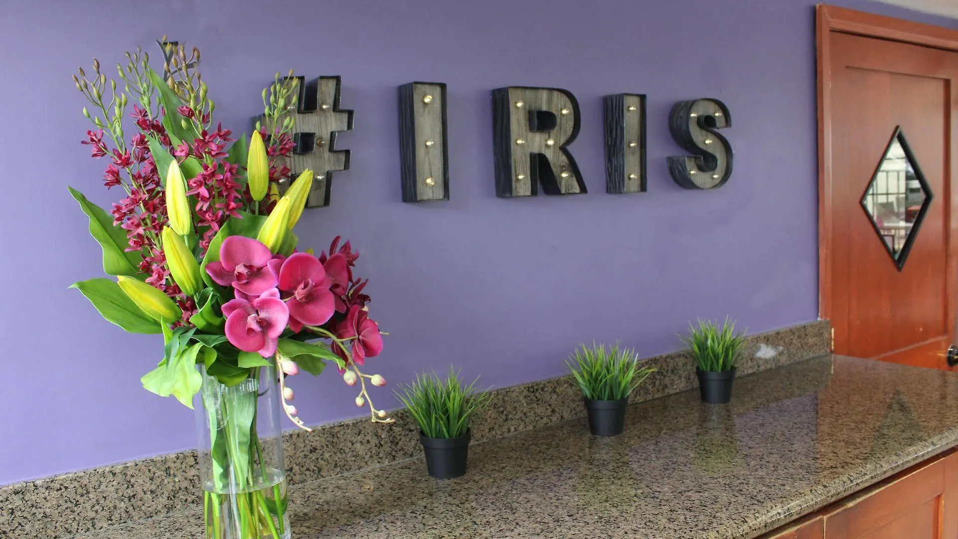 Iris - Mission Valley-san Diego Zoo-seaworld Hotel