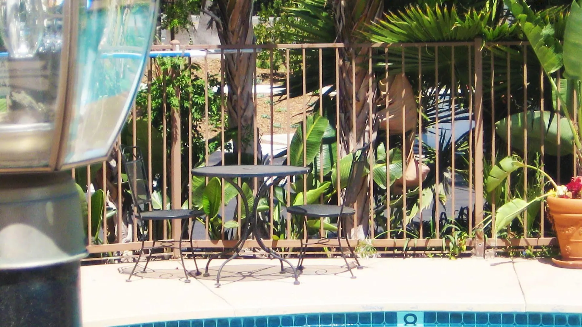 Iris - Mission Valley-san Diego Zoo-seaworld Hotel 2*