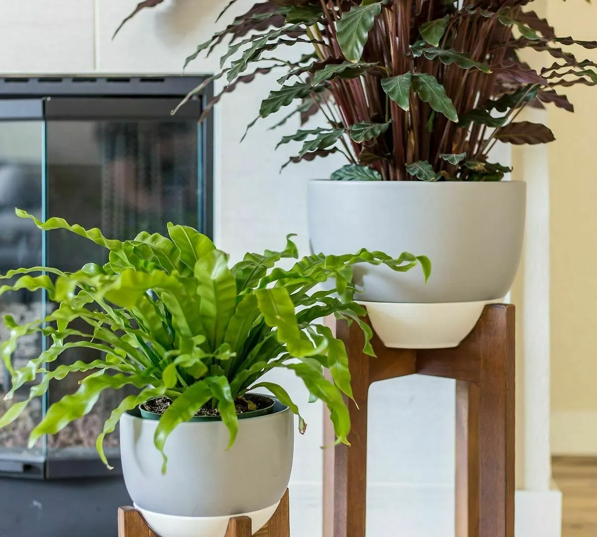 Apartment Contemporary 2br In North Park By Sonder *