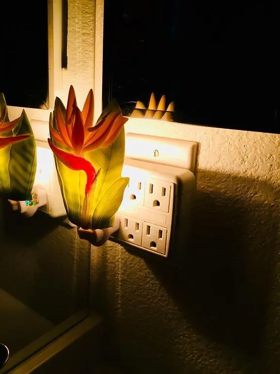 Pacific Butterfly Apartment