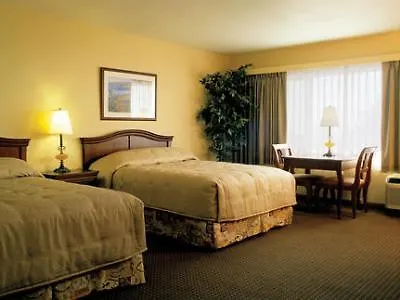 Indigo San Diego By Ihg 3*