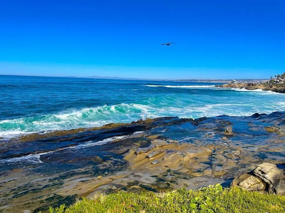 Apartment La Jolla Breeze - Ocean Views Condo!