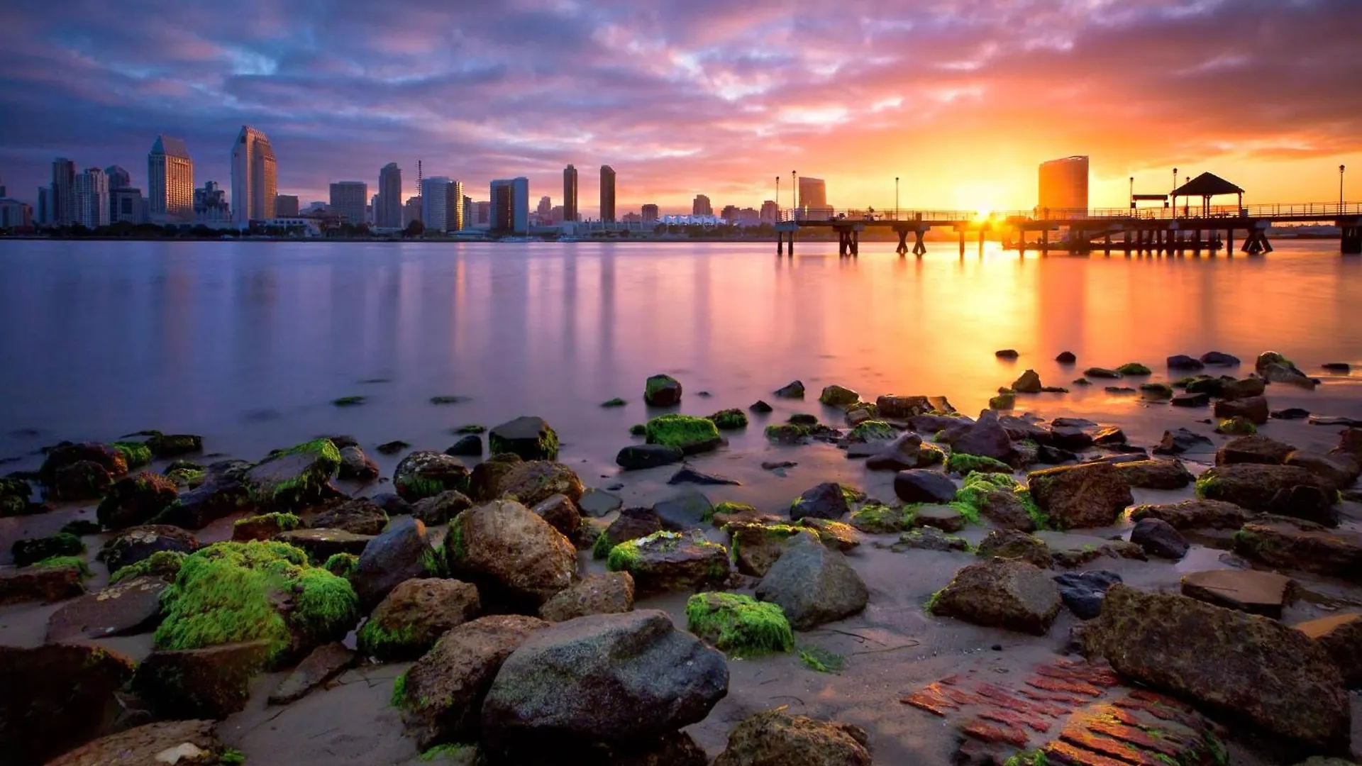 San Diego's Cozy Gem Semesterbostad *