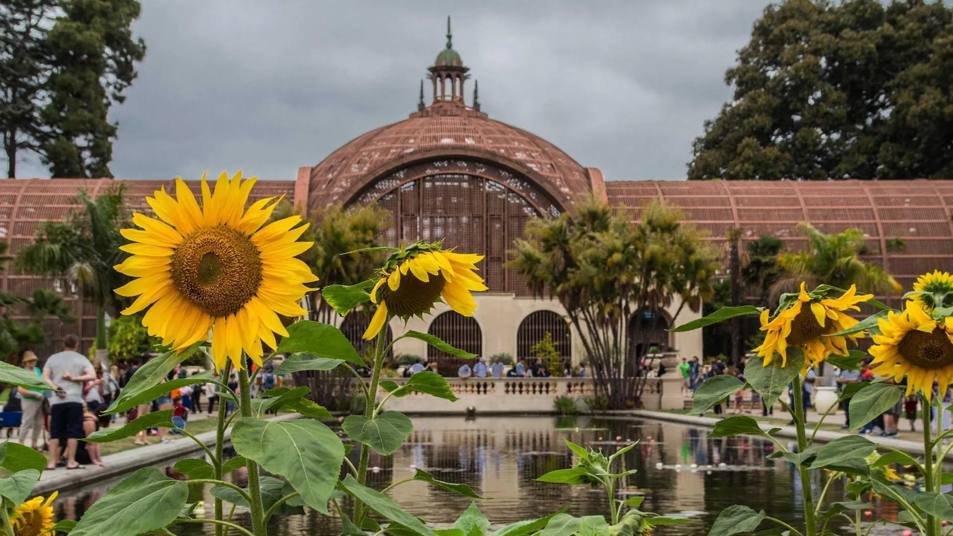 Charming South - Park Close Zoo Balboa Park 別荘 サンディエゴ