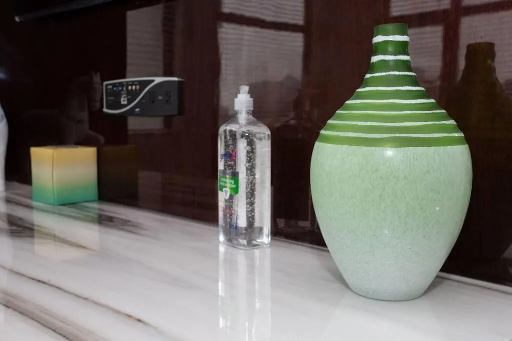 公寓 One Bedroom With Downtown View *