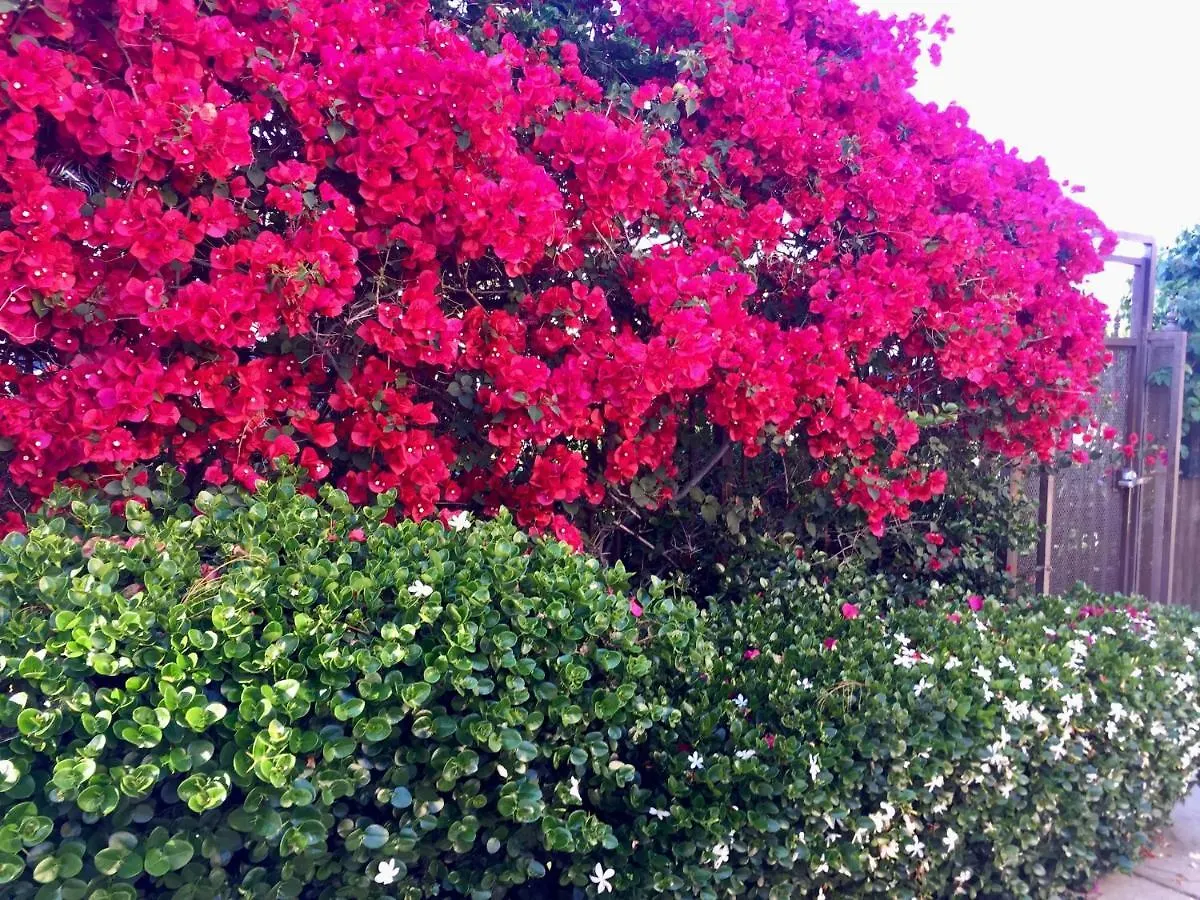Artsy Smart Near Downtown & Balboa Park Apartmán San Diego