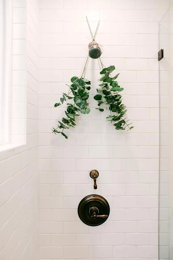 Luxe Ob Retreat Sauna Bikes Nearby San Diego