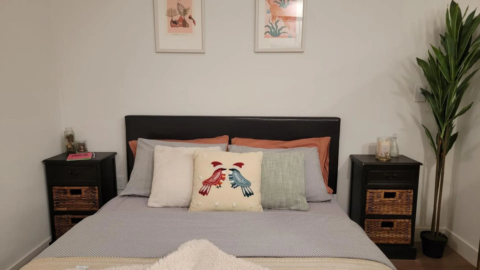 Amazing Big Studio Near Balboa Park Jacuzzi Rooftop Free Parking!