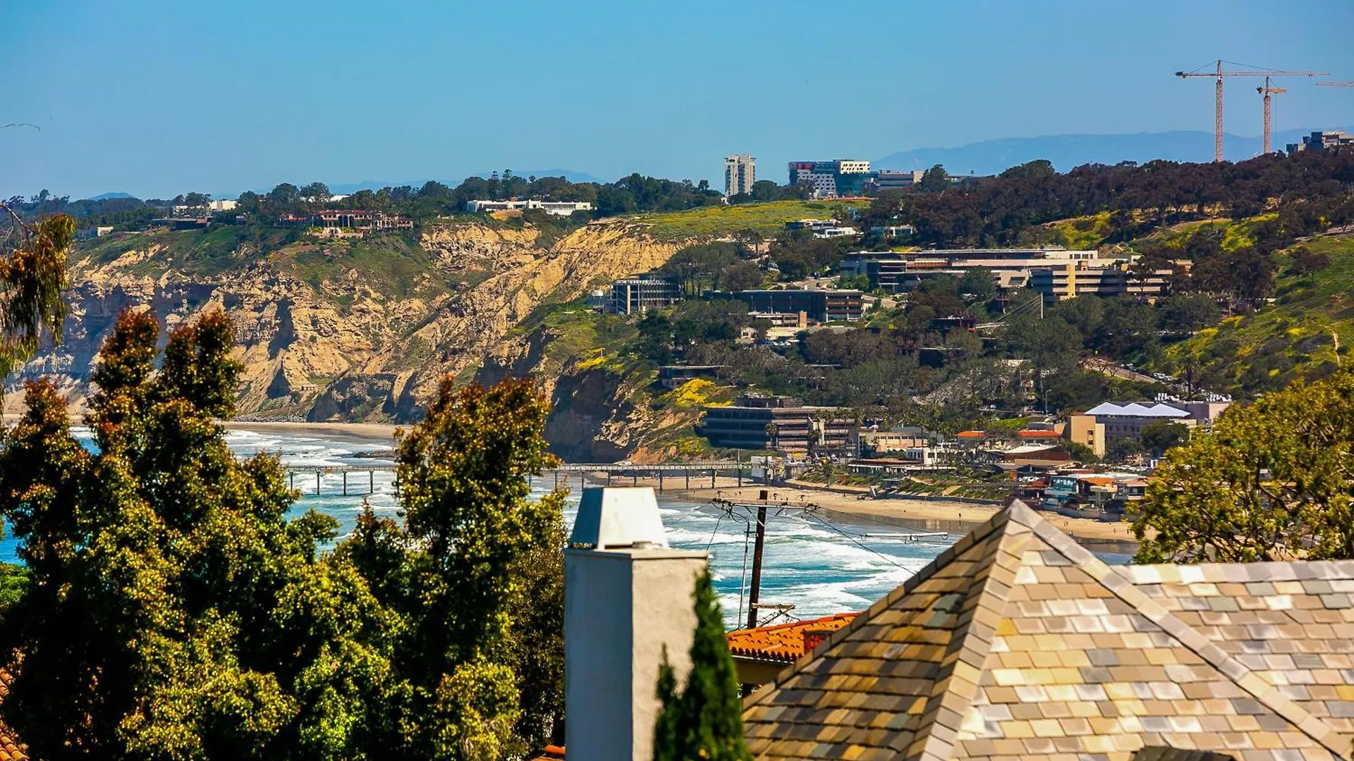 La Jolla Cove Beauty * San Diego