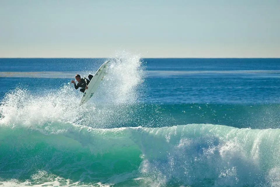 Driftwood San Diego