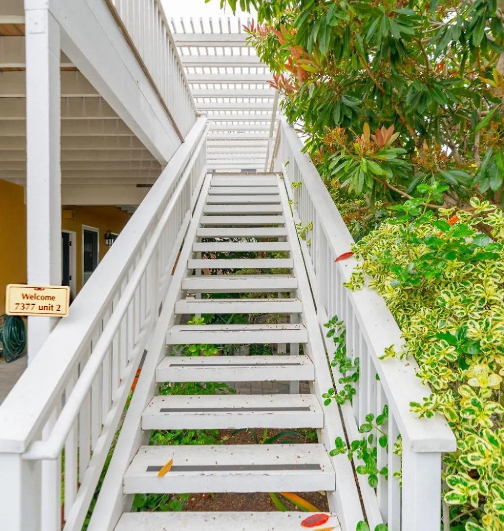 Sunlit La Jolla Village Gem With Peak Ocean Views 別荘 サンディエゴ