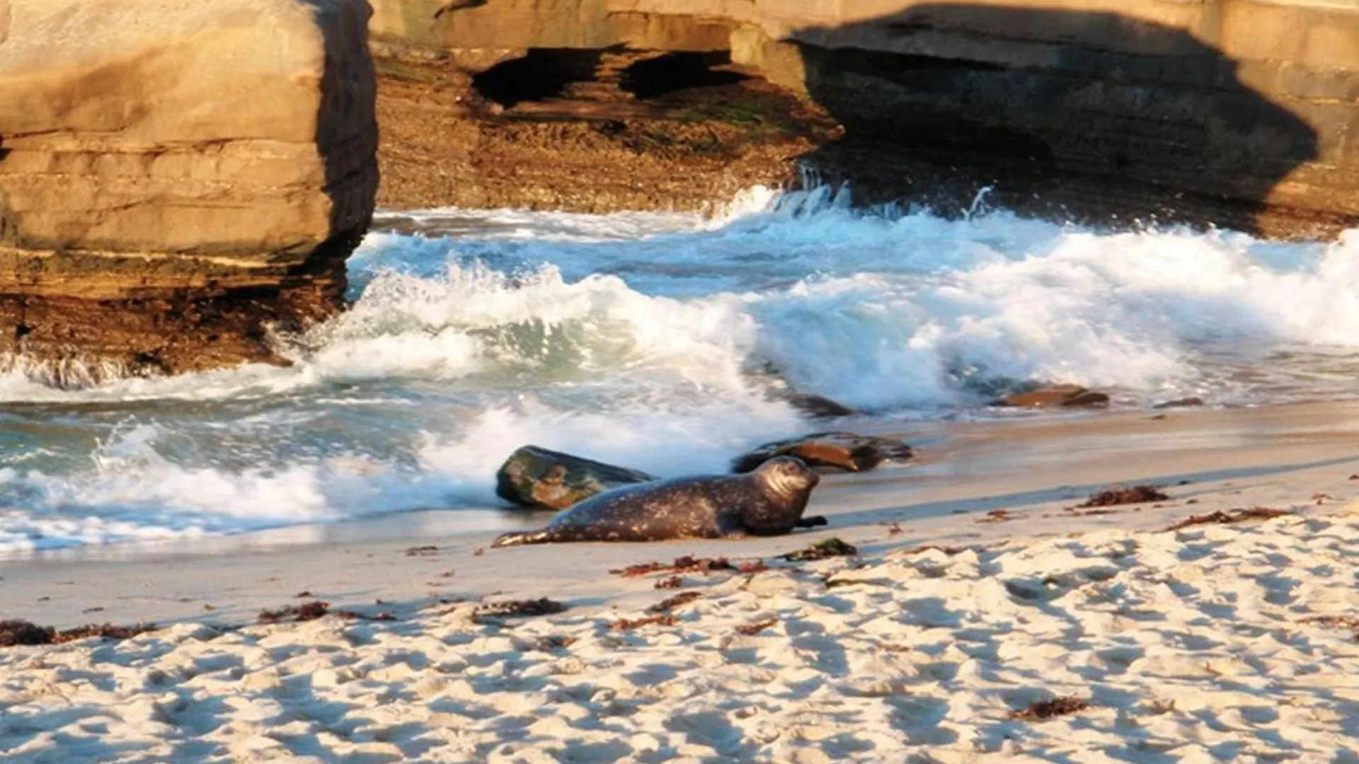 B5415 Casa De La Sirena Prázdninový dům San Diego
