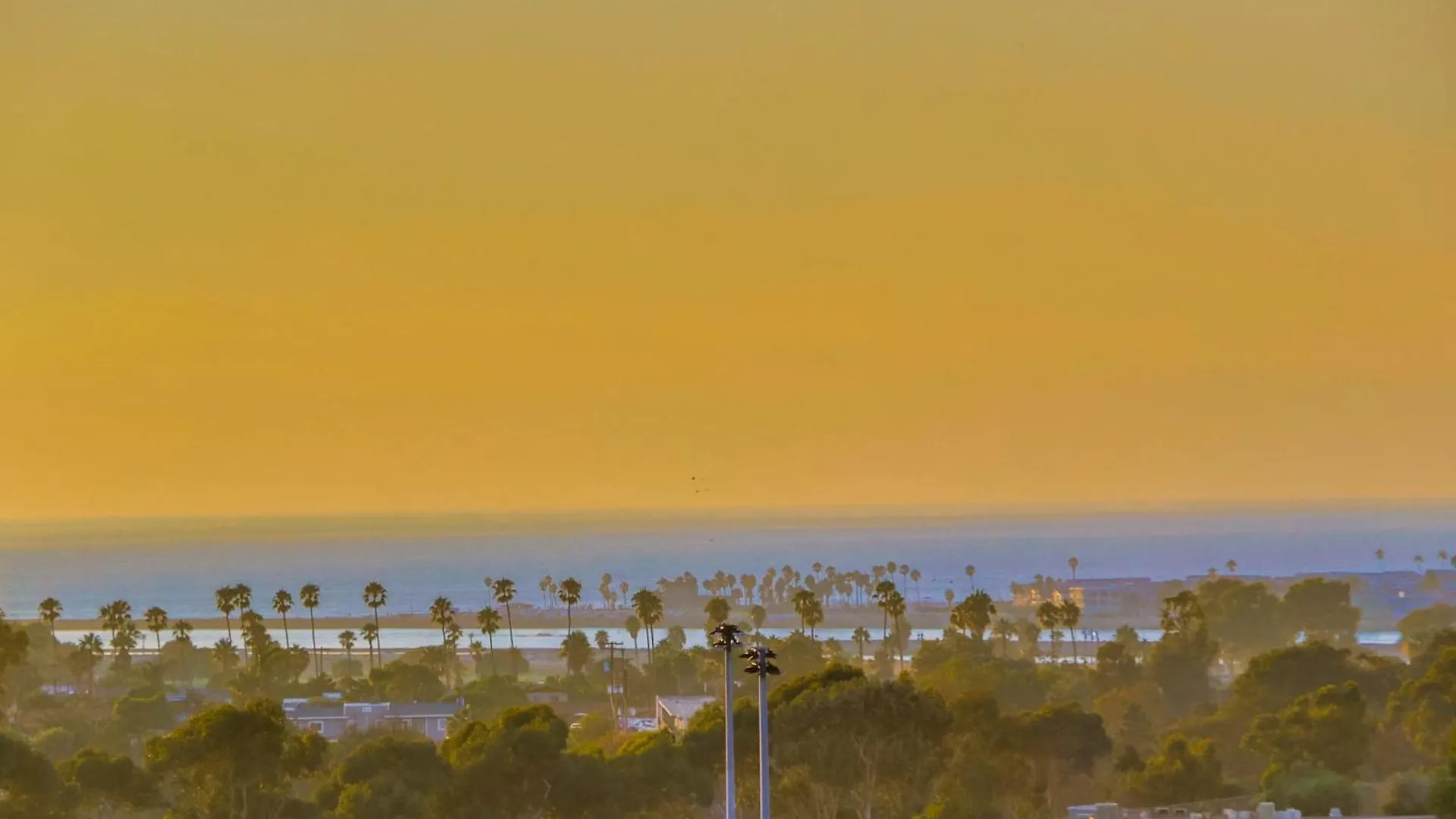Canyon Estate Overlooking The Pacific San Diego