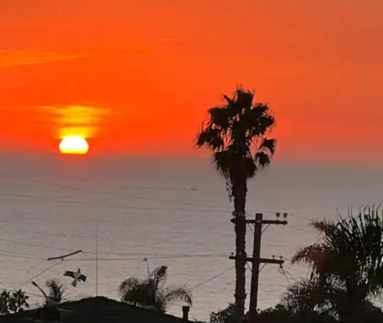 Contemporary Ocean Sunset Views With Firepit Pt Loma Close To Plnu Apartment San Diego
