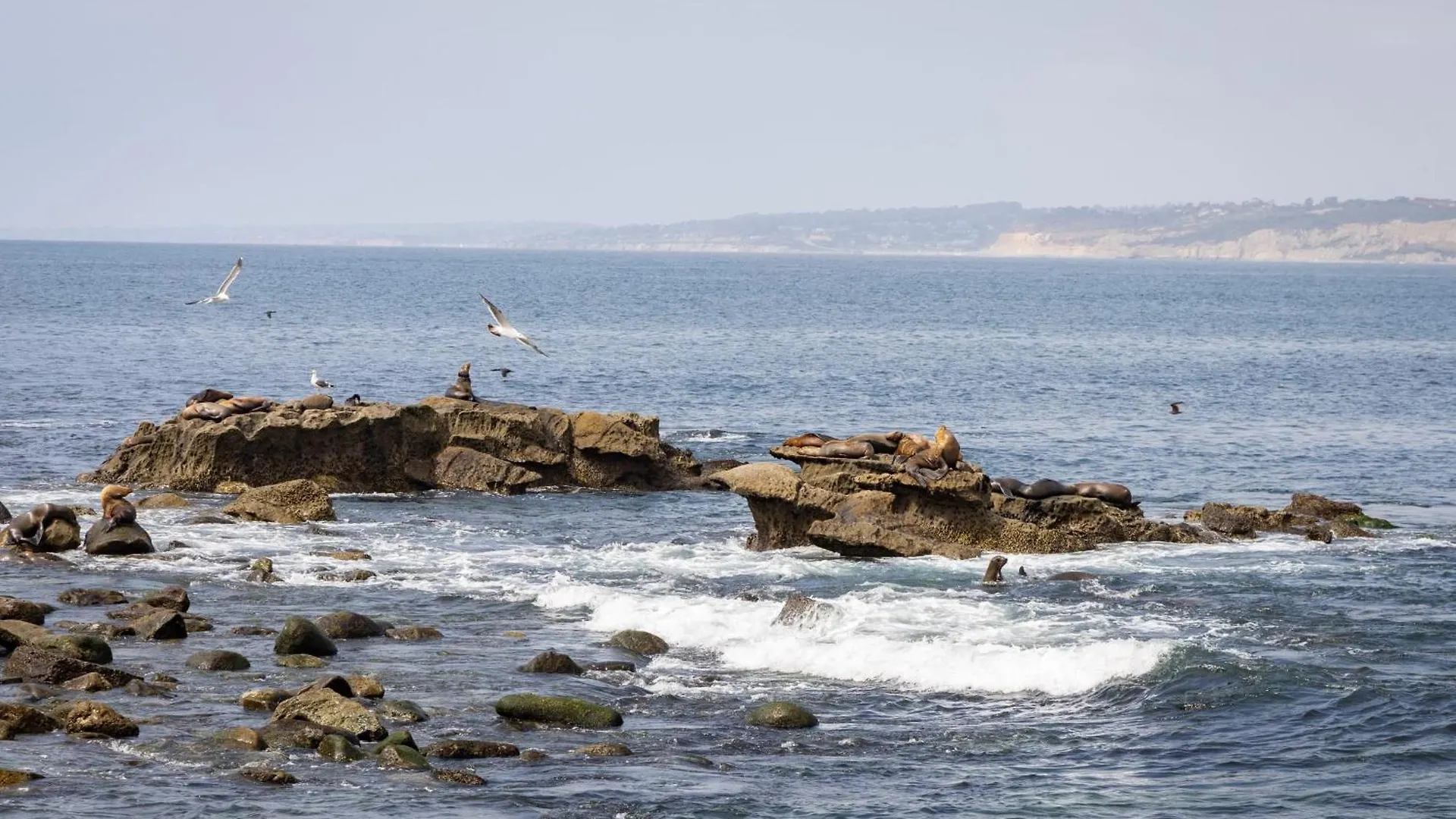 Ferienhaus La Jolla Living By Avantstay A Location Private Backyard Lounge *