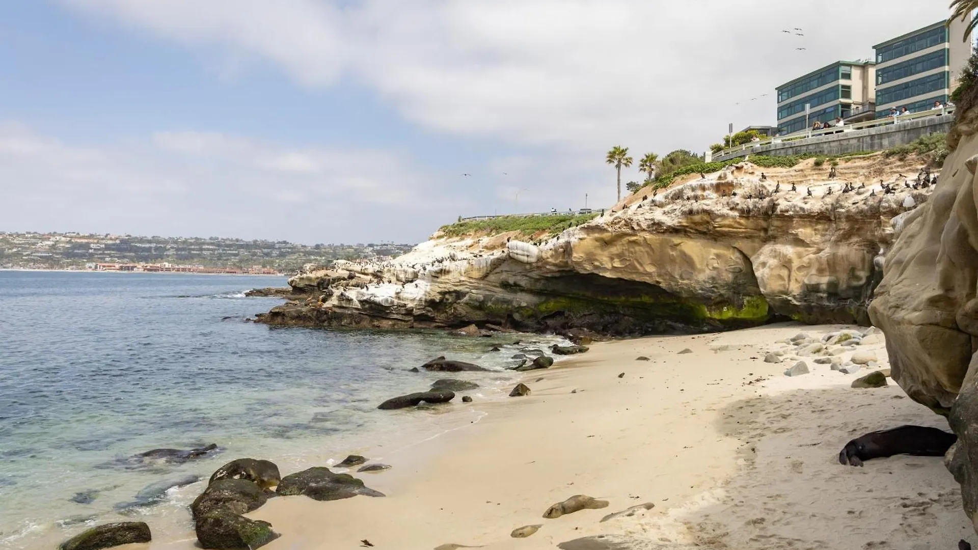 Ferienhaus La Jolla Living By Avantstay A Location Private Backyard Lounge