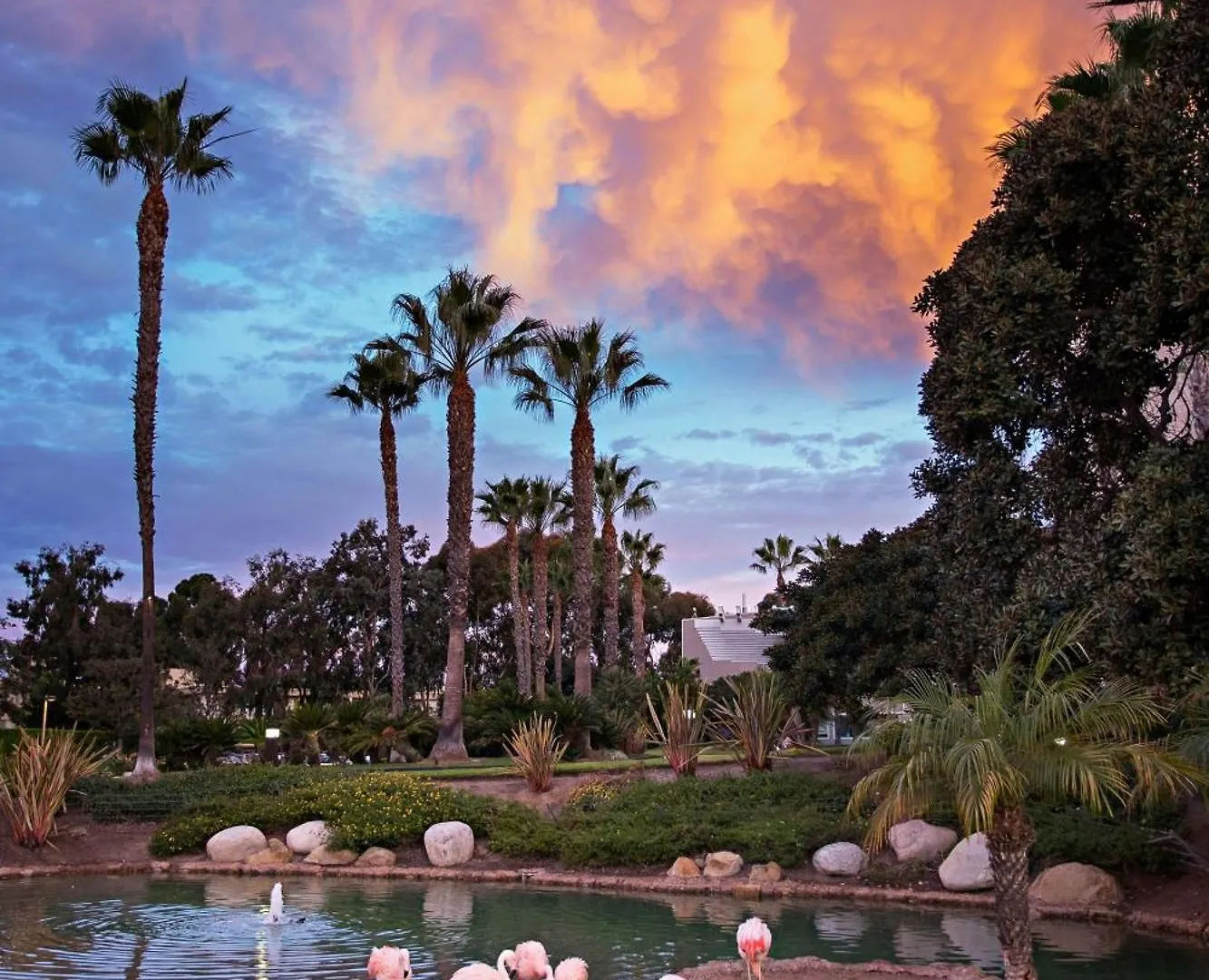 Coronado Island Marriott & Resort 4*