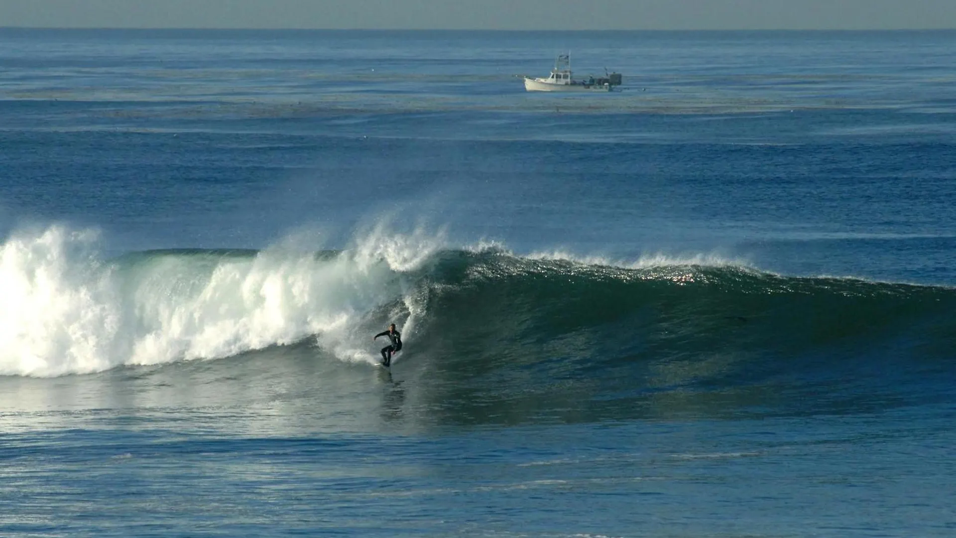 Tidal Wave 1 Brand New Listing!