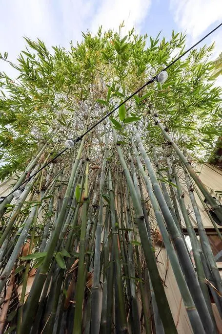 Hébergement de vacances Bamboo Loft 6br, 24 Guests *