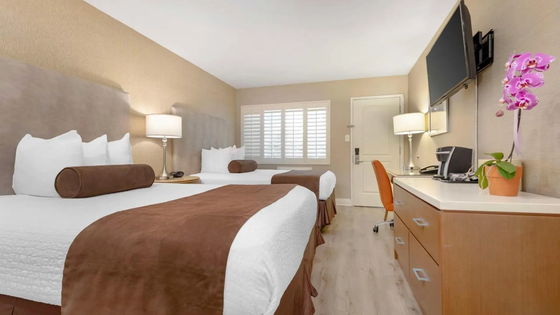 Best Western Downtown Hotel