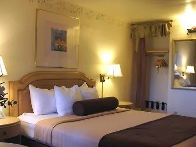 Best Western Downtown Hotel